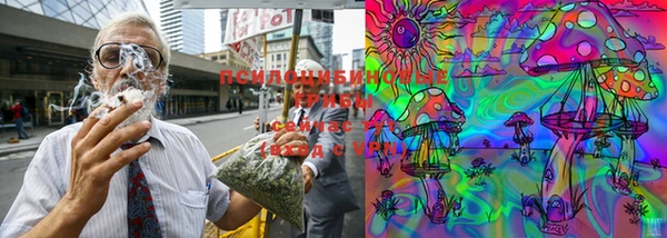 дмт Алзамай