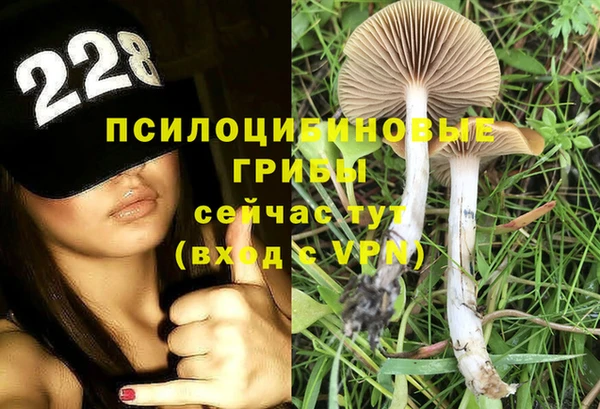 прущий лед Алексеевка
