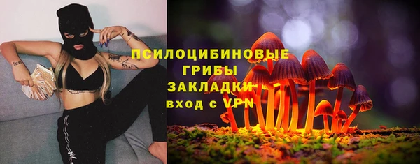 дмт Алзамай