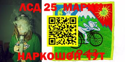 ГАЛЛЮЦИНОГЕННЫЕ ГРИБЫ Кингисепп