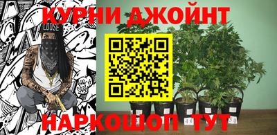 гидропоника Кимры