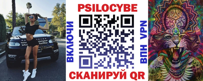 shop телеграм  Менделеевск  Псилоцибиновые грибы Cubensis 