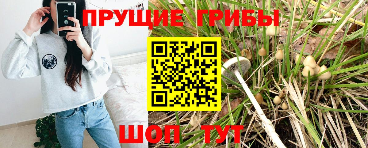 Псилоцибиновые грибы Psilocybine cubensis  Вход с VPN  Менделеевск  Псилоцибиновые грибы GOLDEN TEACHER 